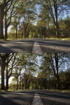 landschaftsfotograf-vergleich