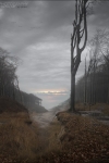 fantasy-landschaft