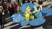 maschseefest-blume